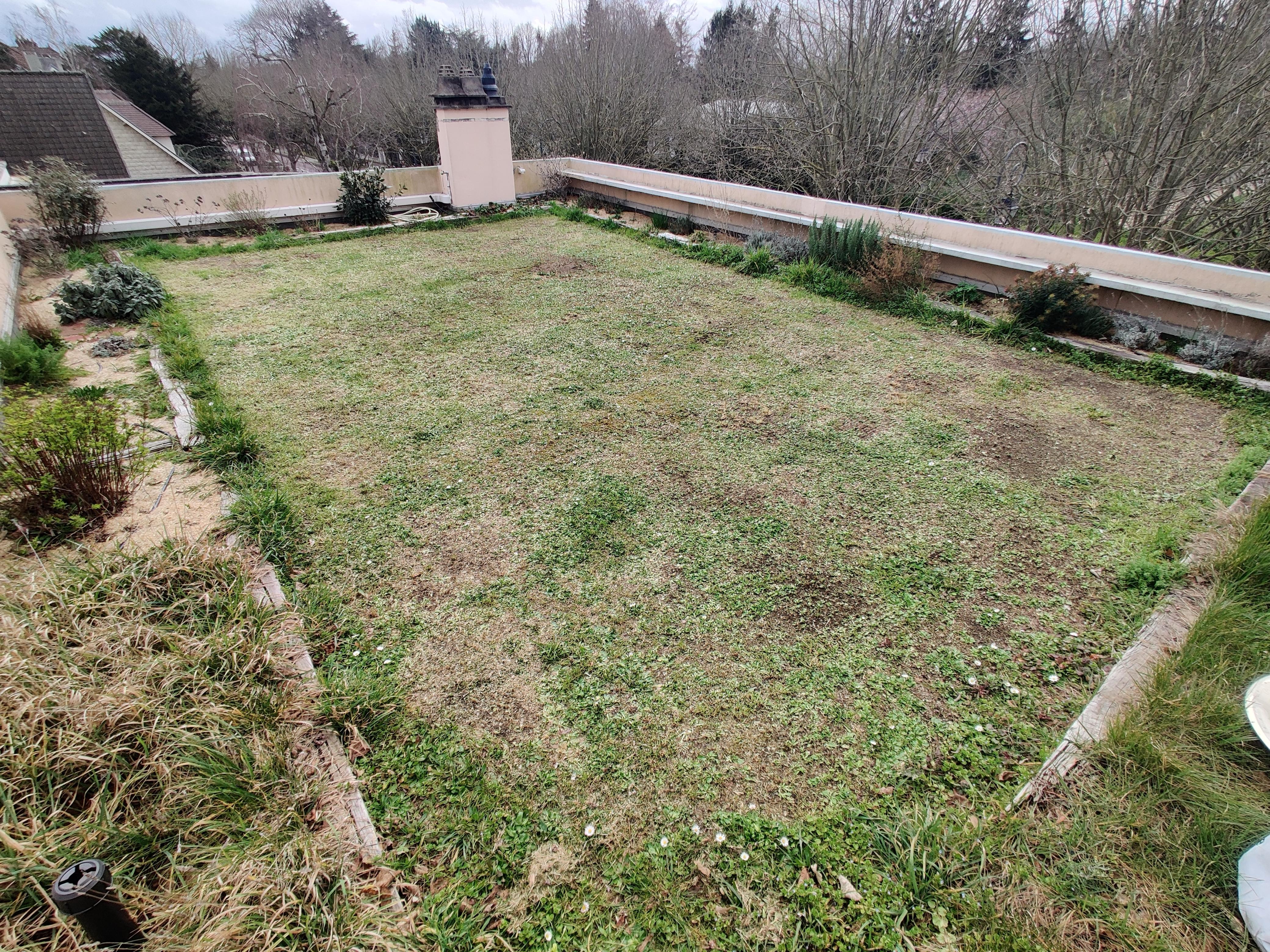 Le toit-terrasse de la Villa Trapenard en hiver — végétalisé, chargé de terre